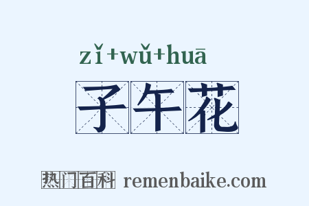 子午花是什么意思的图片